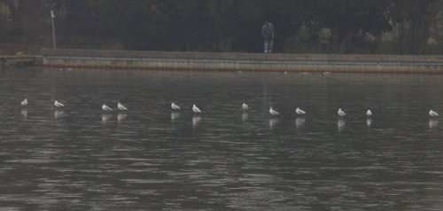 Langold Country Park