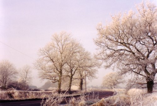 Frosty morning in Anstey, Leicestershire