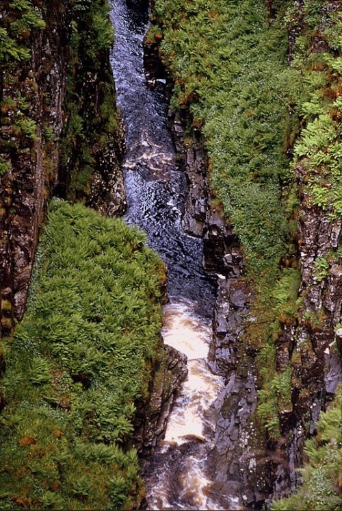 Corrieshalloch Gorge, Highland