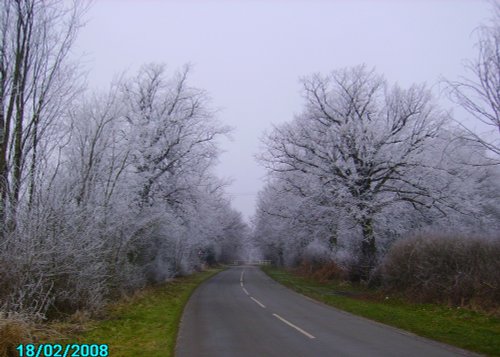 Winterland, Worksop, Nottinghamshire