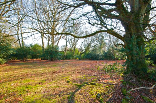 Bramshaw, The New Forest, Hampshire