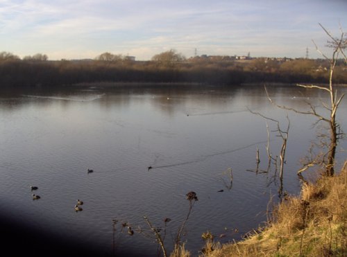 Catcliffe Flash LNR, South Yorkshire