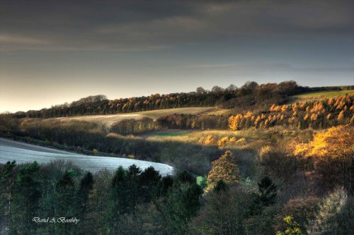 Weedley Near Soth Cave, East Riding of Yorkshire