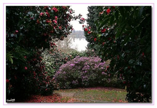 A Glimpse Of The Lake