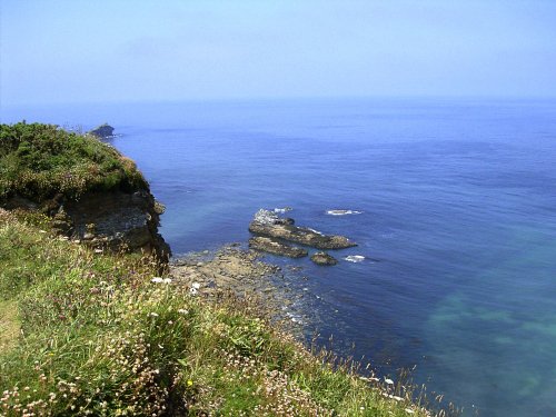 The Cliffs and Coast nr Portreath, Cornwall.