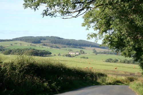 Beacon Fell, Whitechapel, Lancashire.