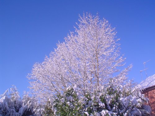Snow in April, Redditch, Worcestershire