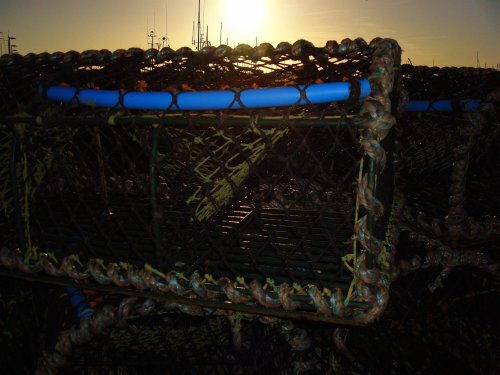 Sunrise over the lobster pots