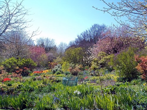 Highdown Gardens, West Sussex