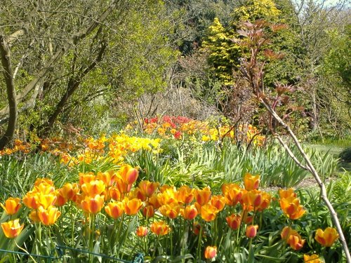 Garden in bloom, Highdown Gardens, Hangleton