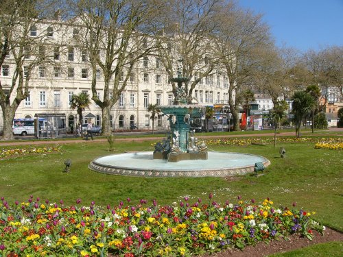 Spring, Torquay, Devon