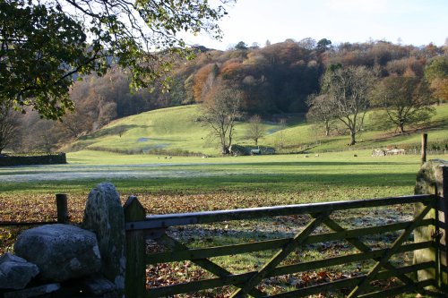Grasmere village scene