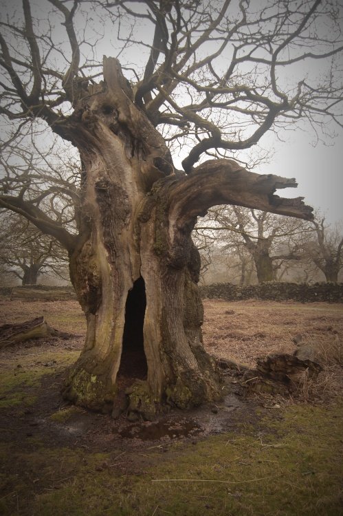 Door to another world