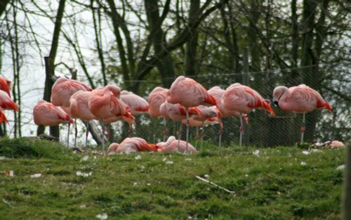 Washington Wetlands Centre