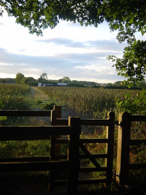 Pictures of Upper Gravenhurst, Bedfordshire, England England