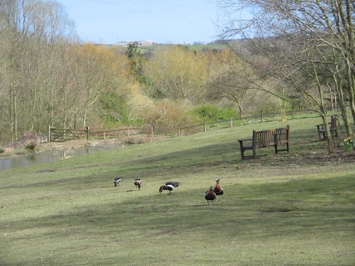 Washington Wetlands Centre