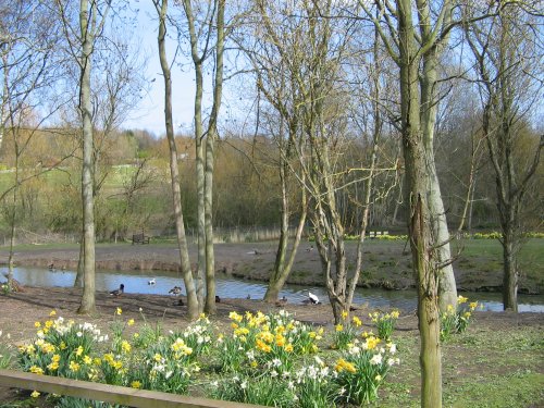 Washington Wetlands Centre