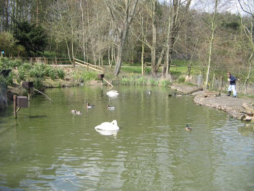Washington Wetlands Centre
