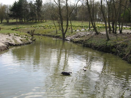Washington Wetlands Centre