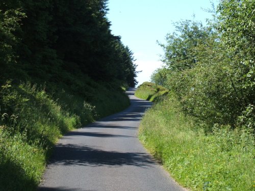 Beacon Fell Country Park