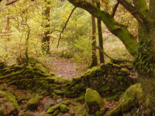 Mossy Wall on the banks of Thirlmere