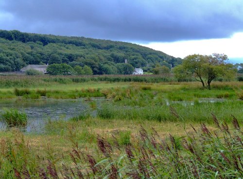 Leighton Moss R.S.P.B. Nature Reserve