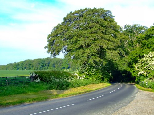 Beverley plump, South Cave