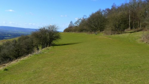 Reigate & Colley Hill