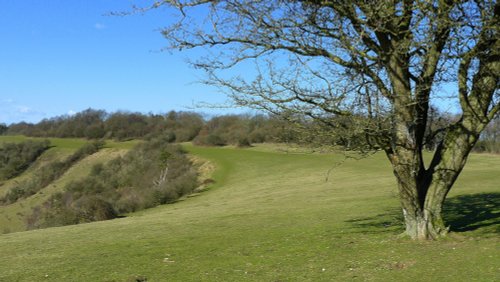 Reigate & Colley Hill