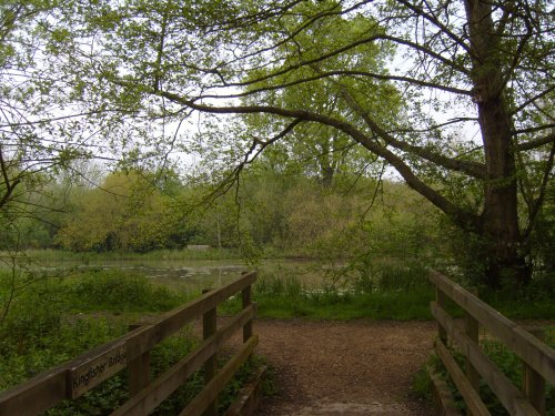 Woods Mill Nature Reserve
