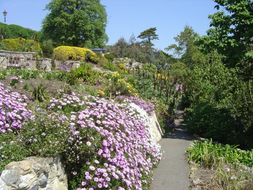 Ventnor Botanic Gardens