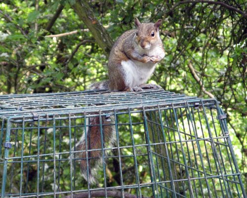 Washington Wetlands Centre