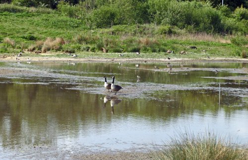 Washington Wetlands Centre