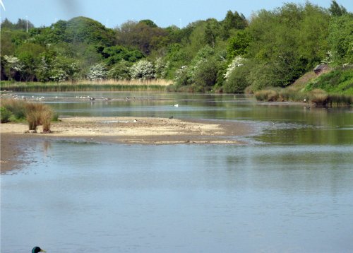 Washington Wetlands Centre