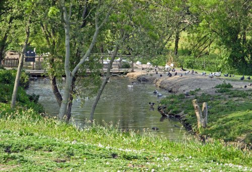 Washington Wetlands Centre
