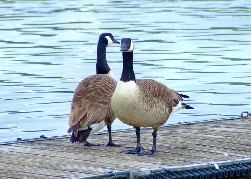 King's Mill Reservoir, Nottinghamshire