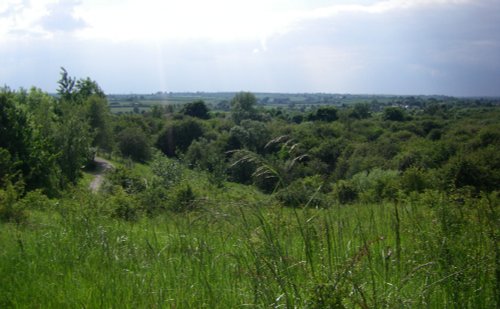 Fermyn Woods Country Park, Northamptonshire