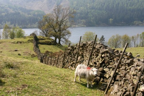 Thirlmere