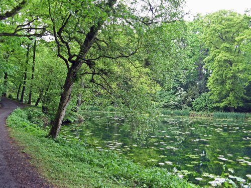 The Lake at Wallington Hall.