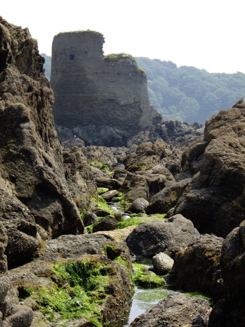 Salcombe Castle, Devon