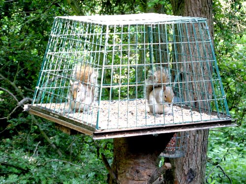 Washington Wetlands Centre