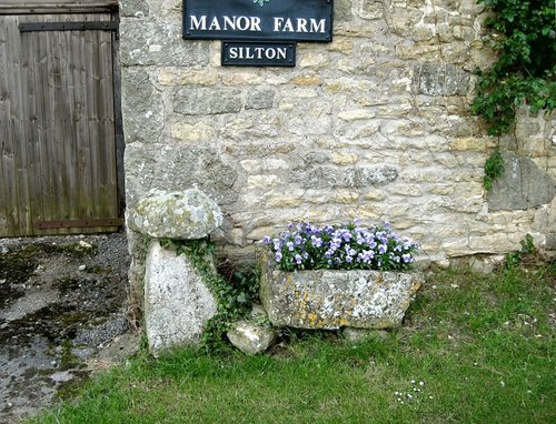 Staddle Stone and Trough, Silton