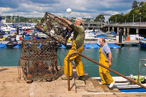 Morning After The Night's Fishing