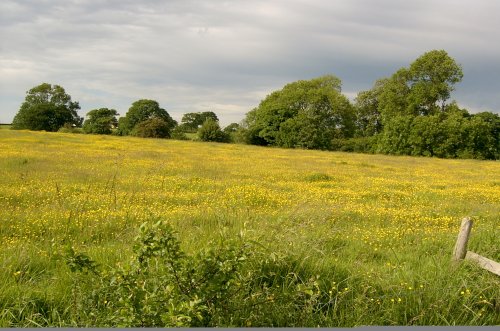 Cheshire Candle Workshops