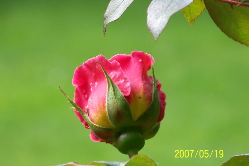 Anne Hathaway's Cottage