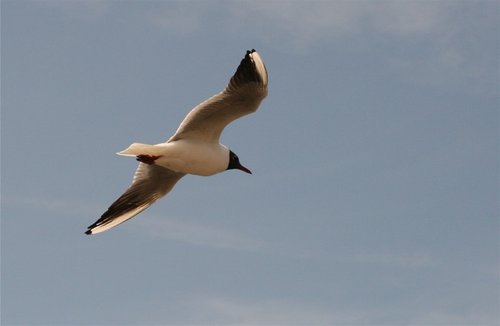 Hodbarrow Nature Reserve, Cumbria