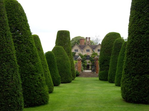 Through the topiary trees