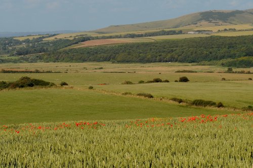 Seaford Head