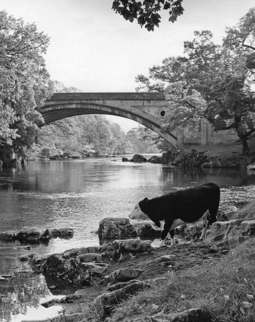 Bridge at Kirkby Lonsdale