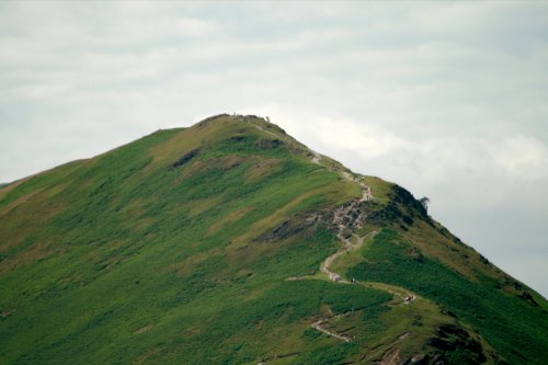 Telephoto closeup of Cat Bells.